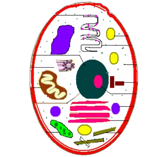 jewelry, food, jacket, crown transparent PNG cut-out