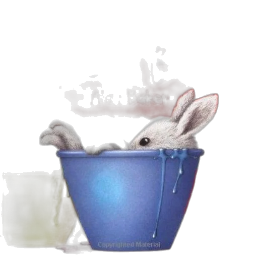 hat, animal, food, crown transparent PNG cut-out