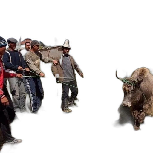 animal, concept art, group, men transparent PNG cut-out