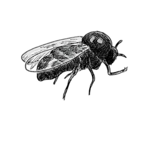 animal, creature, staff, robot transparent PNG cut-out