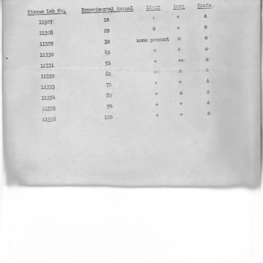 black, white, document, table transparent PNG cut-out