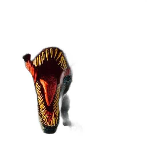 shoes, dragon, mask, creature transparent PNG cut-out