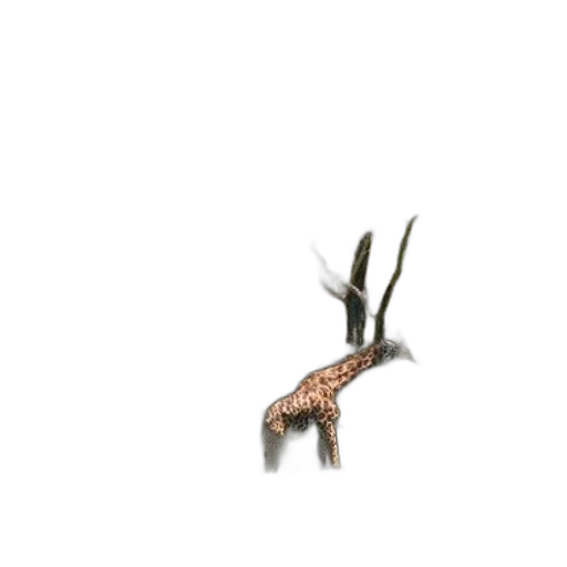 dragon, animal, creature, weapon transparent PNG cut-out