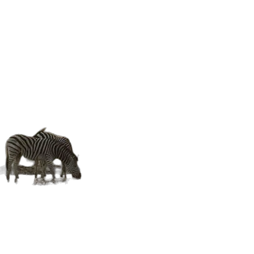 animal, furniture, creature, jewelry transparent PNG cut-out