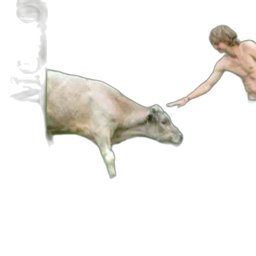 animal, creature, weapon, concept art transparent PNG cut-out