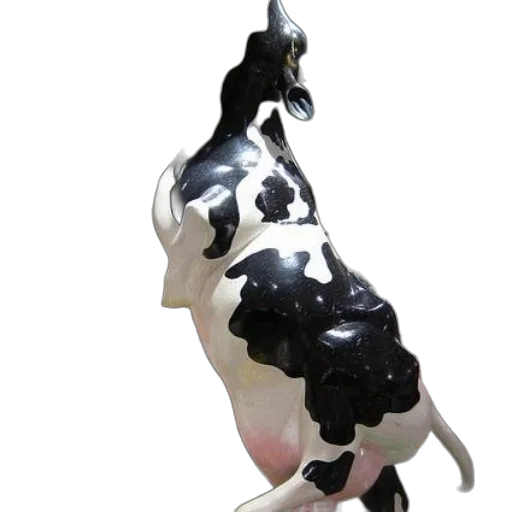 animal, jewelry, staff, food transparent PNG cut-out