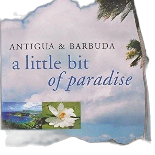umbrella, image, book, cover transparent PNG cut-out
