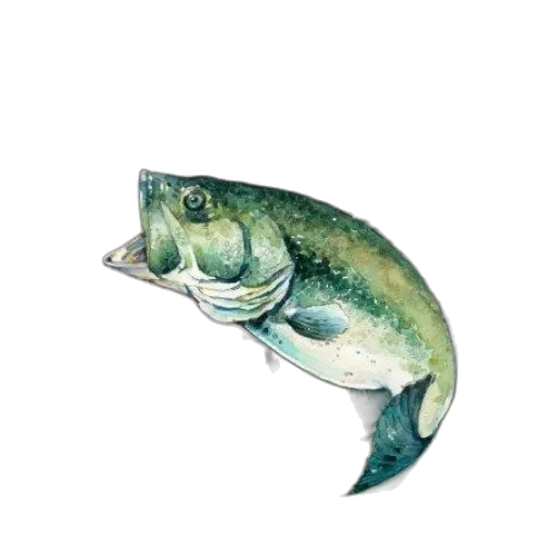 animal, food, staff, creature transparent PNG cut-out