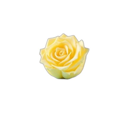 flower, jewelry, crown, staff transparent PNG cut-out