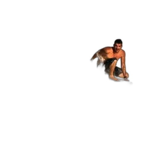 animal, creature, hair, food transparent PNG cut-out