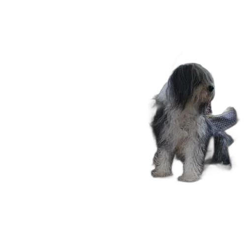 animal, creature, staff, robot transparent PNG cut-out
