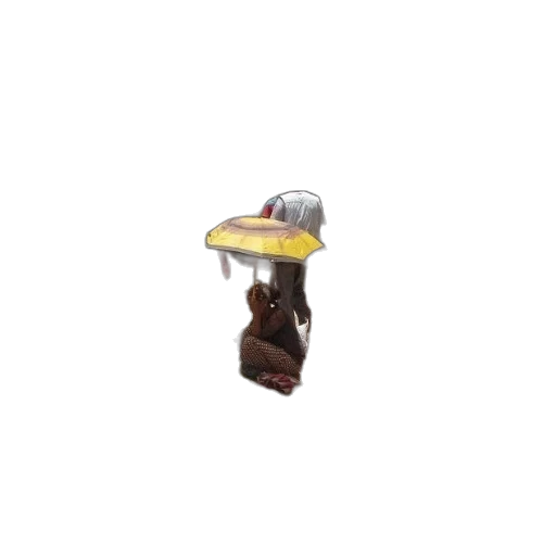 hat, staff, weapon, shoes transparent PNG cut-out