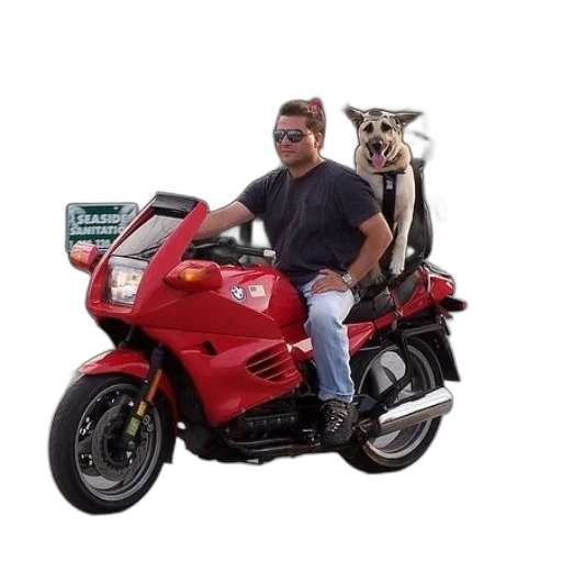 animal, creature, car, jacket transparent PNG cut-out