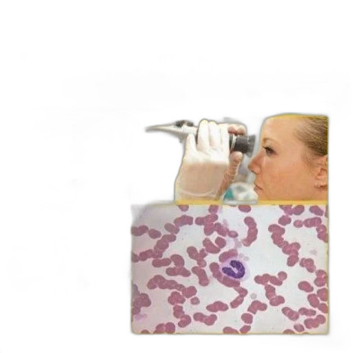 cover, laboratory, procedures, veterinary transparent PNG cut-out