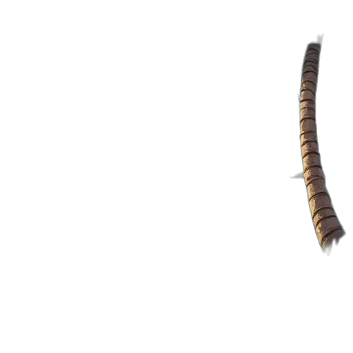 hair, animal, dragon, staff transparent PNG cut-out