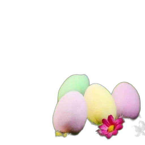 flower, hair, hat, creature transparent PNG cut-out