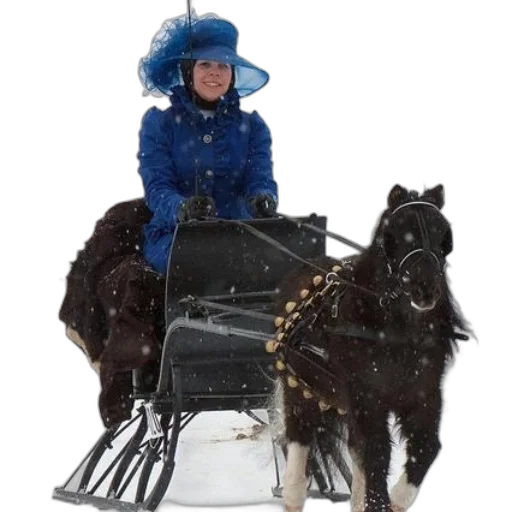 animal, staff, hat, jacket transparent PNG cut-out