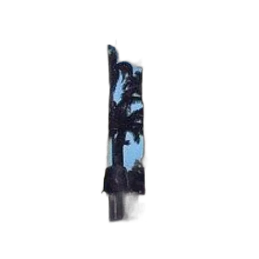 umbrella, staff, flower, jewelry transparent PNG cut-out