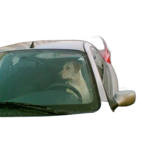 car, animal, staff, photorealistic transparent PNG cut-out