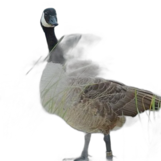 animal, creature, mask, staff transparent PNG cut-out