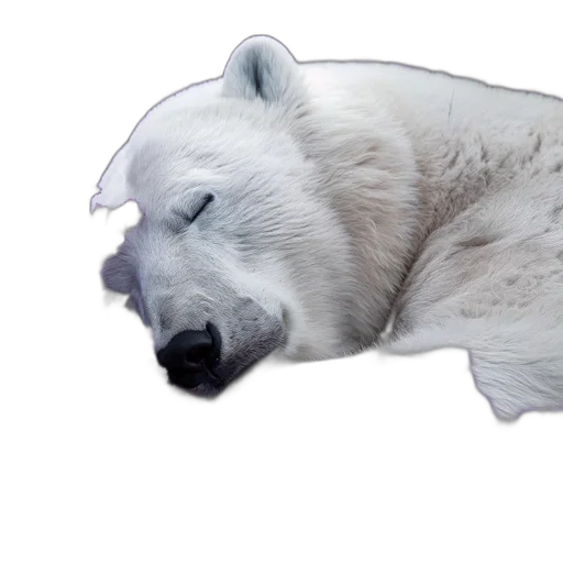 animal, creature, face, mask transparent PNG cut-out