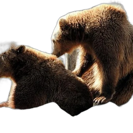 animal, furniture, creature, concept art transparent PNG cut-out