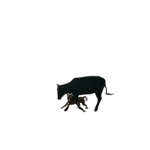 animal, creature, food, weapon transparent PNG cut-out