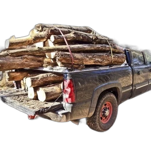 car, weapon, furniture, tree transparent PNG cut-out