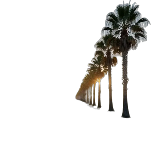 tree, umbrella, building, car transparent PNG cut-out