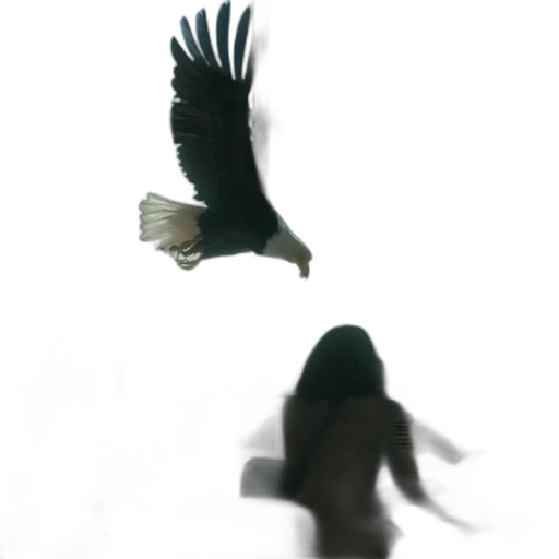 animal, creature, mask, hair transparent PNG cut-out
