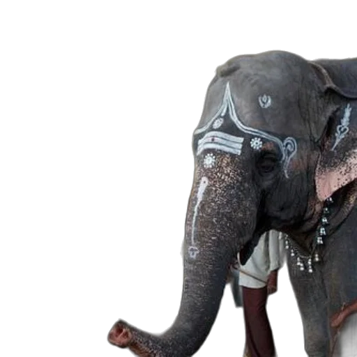 animal, creature, mask, staff transparent PNG cut-out