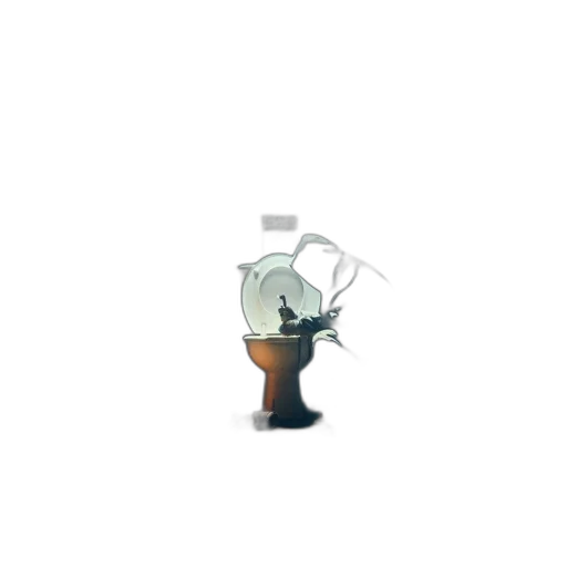 staff, robot, bottle, flower transparent PNG cut-out
