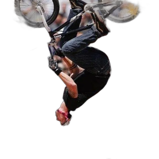 mask, dragon, staff, creature transparent PNG cut-out