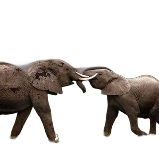 animal, concept art, 3d render, photorealistic transparent PNG cut-out