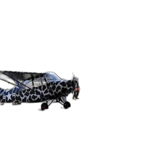dragon, car, animal, umbrella transparent PNG cut-out