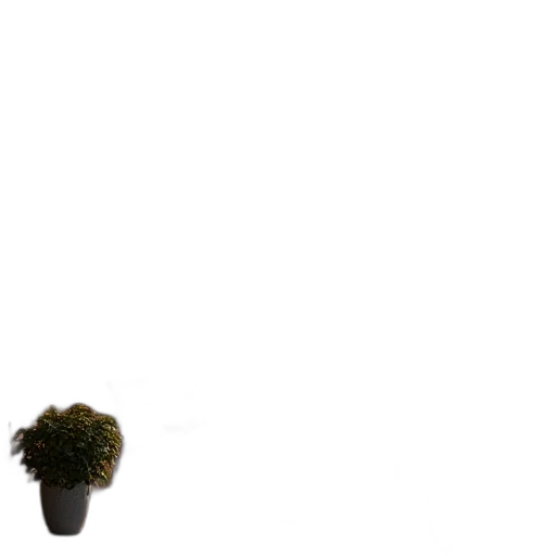 tree, hair, flower, staff transparent PNG cut-out