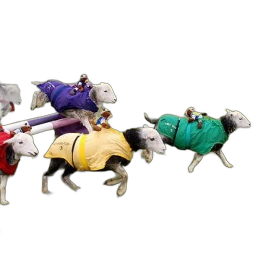 3d render, concept art, group, sheep transparent PNG cut-out