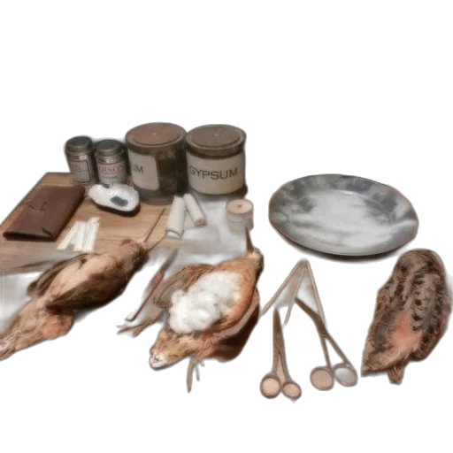 food, jewelry, furniture, shoes transparent PNG cut-out