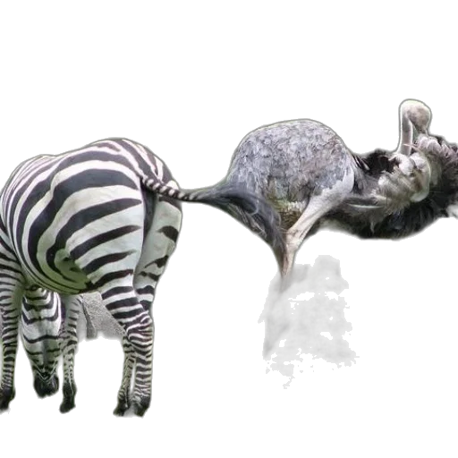 animal, creature, 3d render, concept art transparent PNG cut-out
