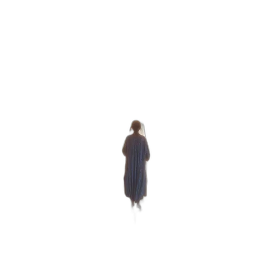 dress, creature, jacket, hair transparent PNG cut-out