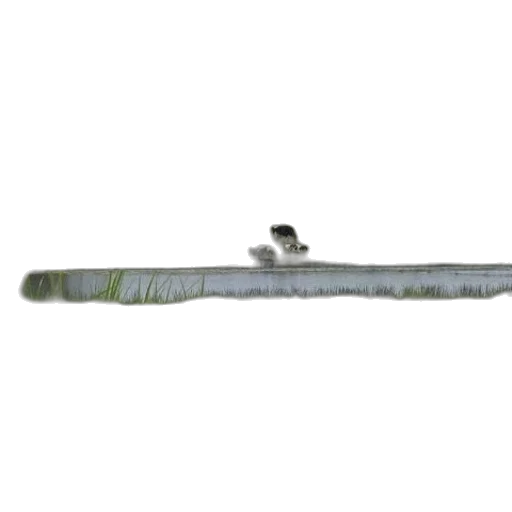 sword, staff, weapon, jewelry transparent PNG cut-out