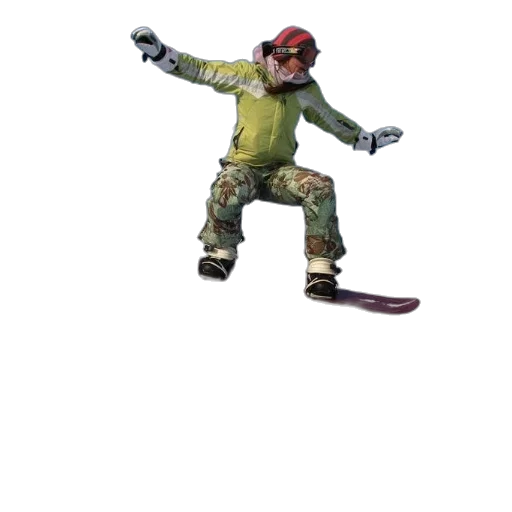 staff, weapon, jacket, animal transparent PNG cut-out