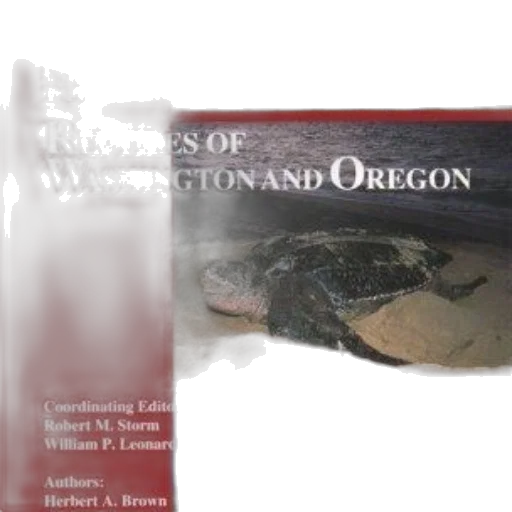 cover, reptiles, washington, oregon transparent PNG cut-out