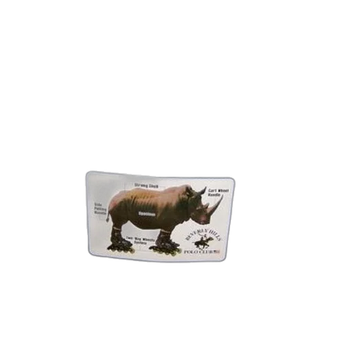 animal, dragon, creature, food transparent PNG cut-out
