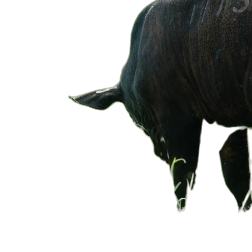 animal, creature, dragon, mask transparent PNG cut-out