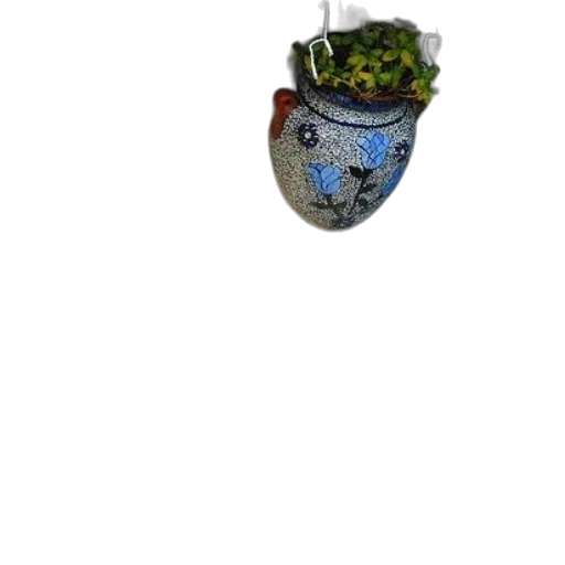 crown, mask, hat, flower transparent PNG cut-out