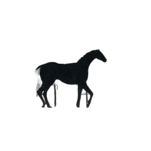animal, creature, staff, furniture transparent PNG cut-out