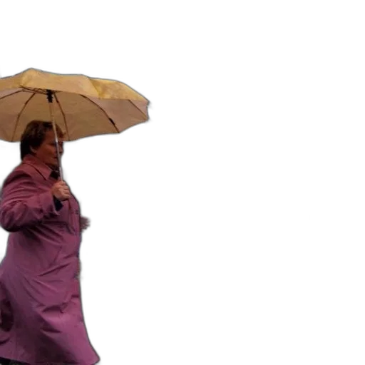 umbrella, jacket, staff, dress transparent PNG cut-out