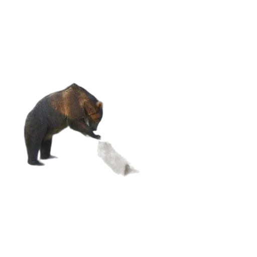 animal, staff, bottle, food transparent PNG cut-out