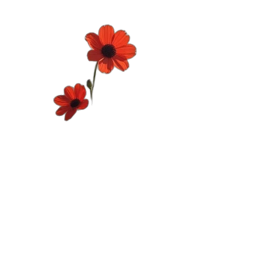 flower, crown, jewelry, weapon transparent PNG cut-out